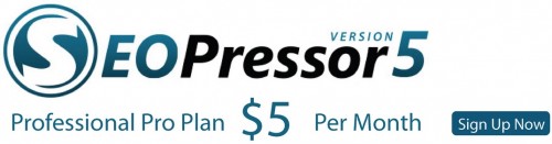 SeoPressor 5 dollar promotion online marketing strategy