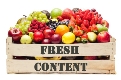 optimizing for search engine - fresh content as Google's ranking factor