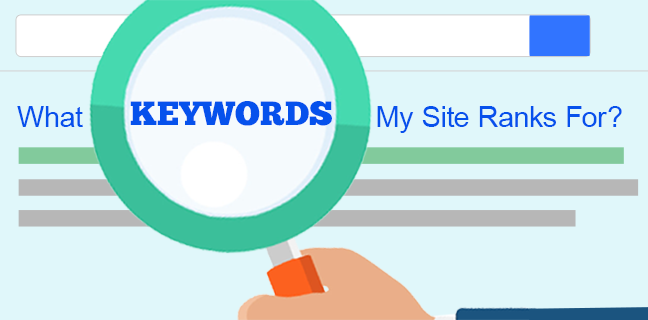 what keywords my website ranks for