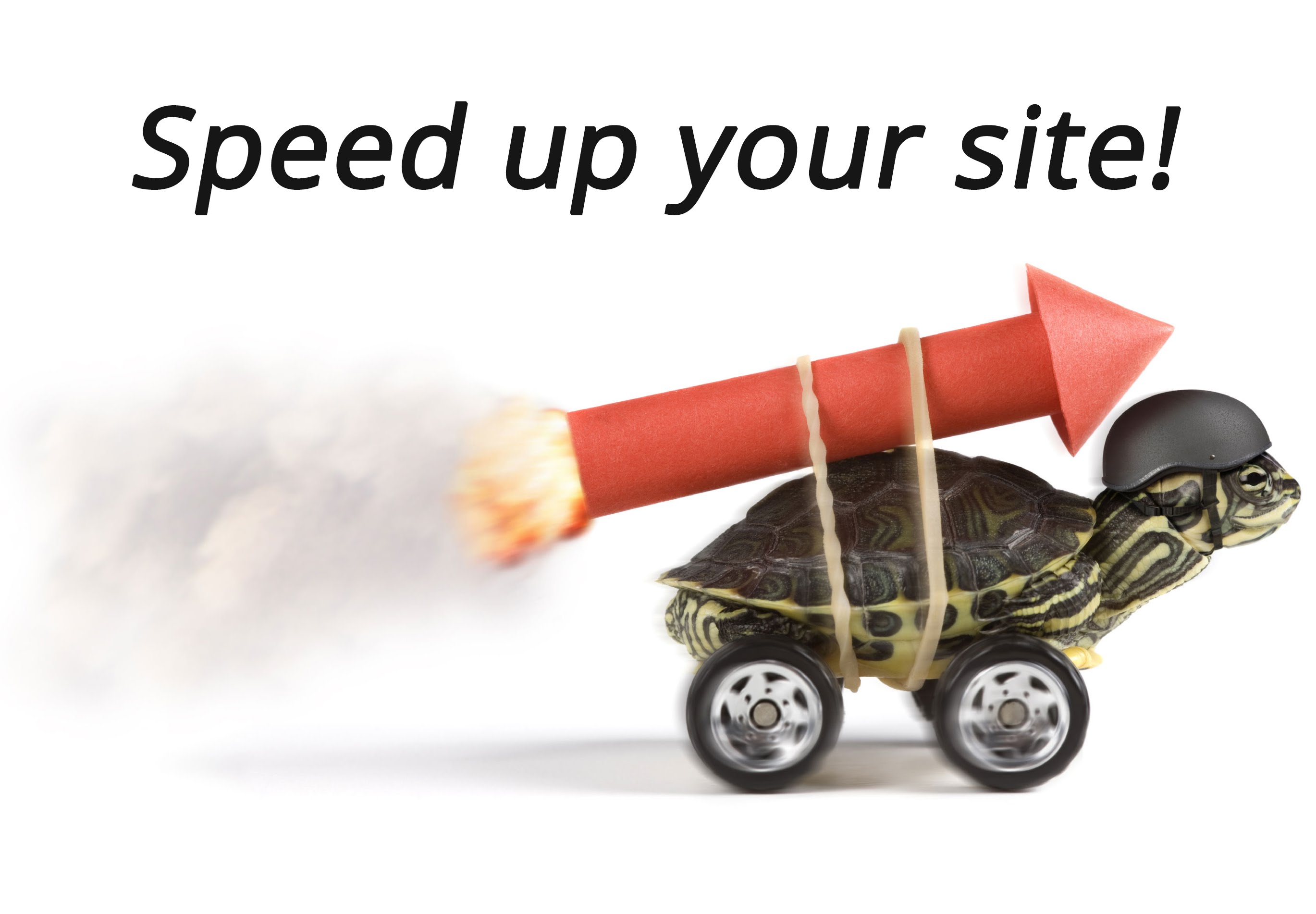 Speed up your site rocket and turtle