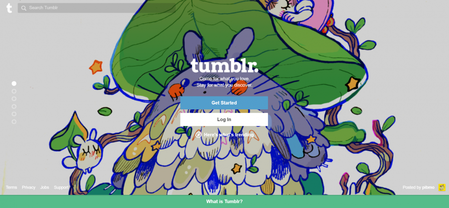 tumblr homepage 1