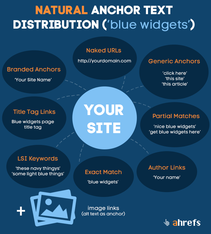 anchor-text-distribution-infographic