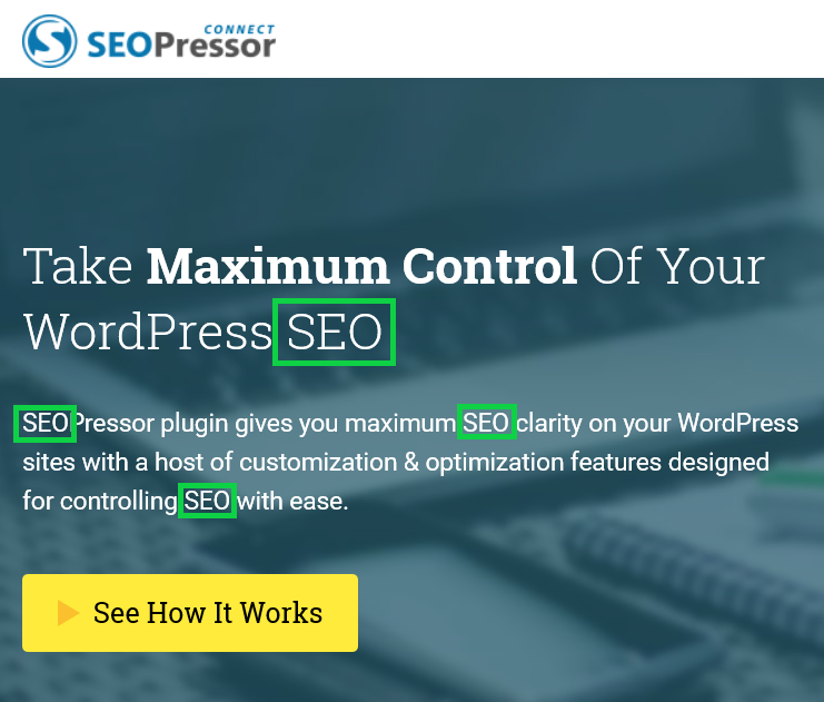 Screenshot of homepage copy highlighting SEO as targeted keyword. 