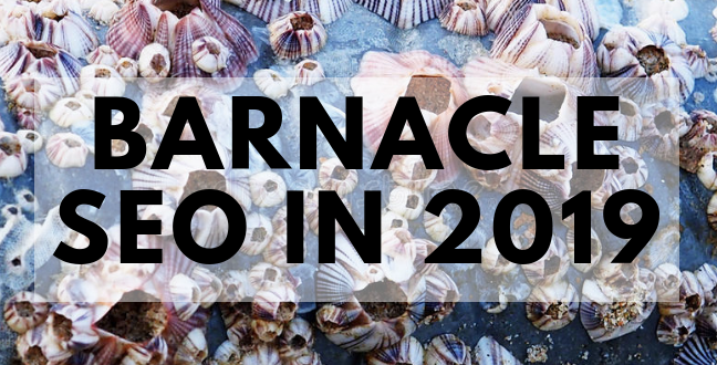Barnacle seo in 2019
