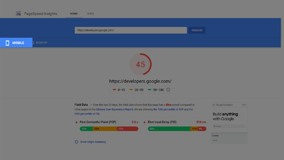 PageSpeed Insight toggled to mobile data