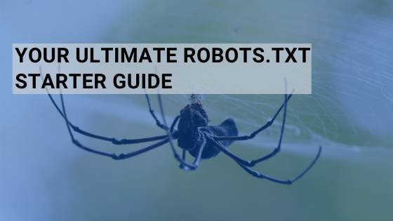 Your Ultimate Robots.txt Starter Guide