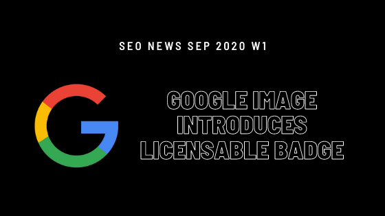 seo news update